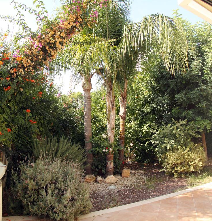 مونوبولي B&B Villa Il Sughero المظهر الخارجي الصورة